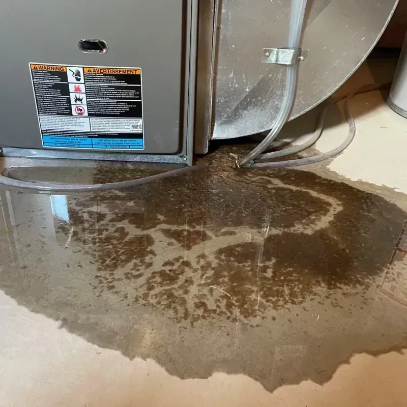 Appliance Leak Cleanup in Westview, FL